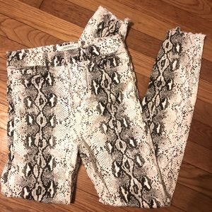 Premium Denim Collection Zara Jeans